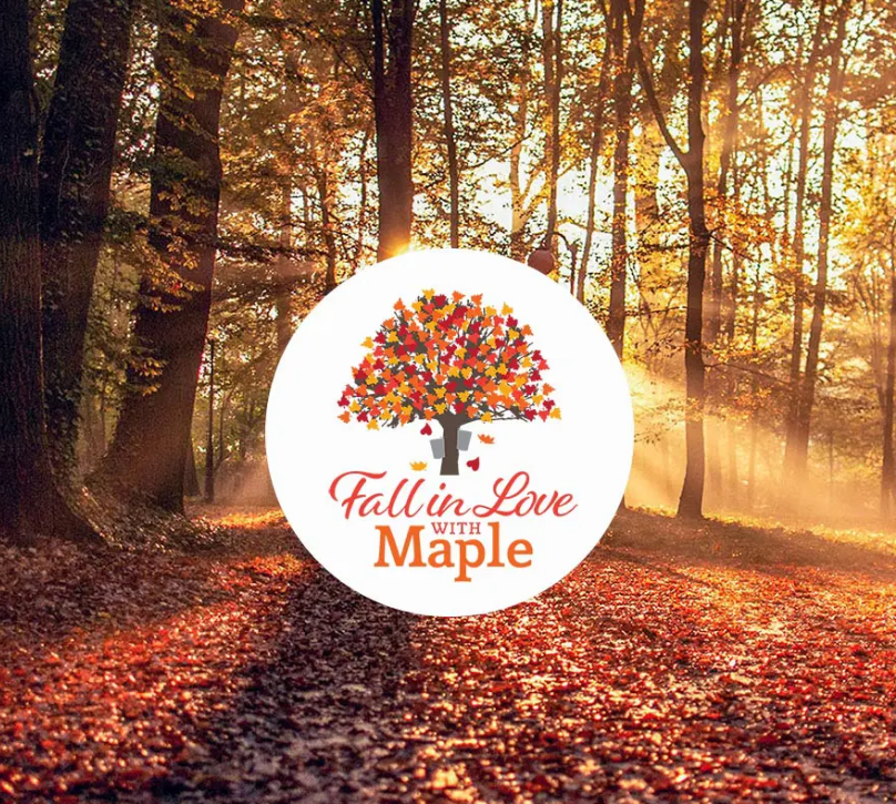 Fall in Love with Maple: A Sweet Adventure